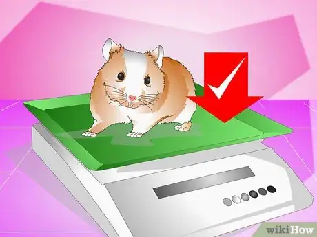 Image titled Make Your Hamster Live Longer Step 9