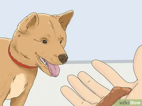 Image titled Get a Puppy to Stop Growling when You Pick Them Up Step 7