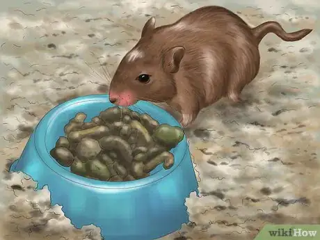 Image titled Make Your Gerbil Happy Step 5