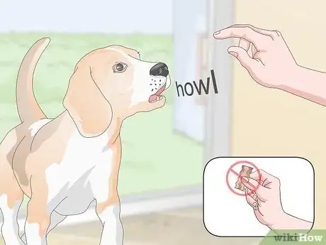 Image titled Teach Your Dog to Howl Step 8