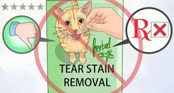 Eliminate Tear Stains on Cats and Dogs