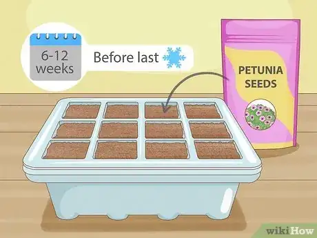 Image titled Plant Seeds in a Basic Seed Tray Step 1