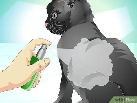 Image titled Care for Your Cat's Coat Step 14