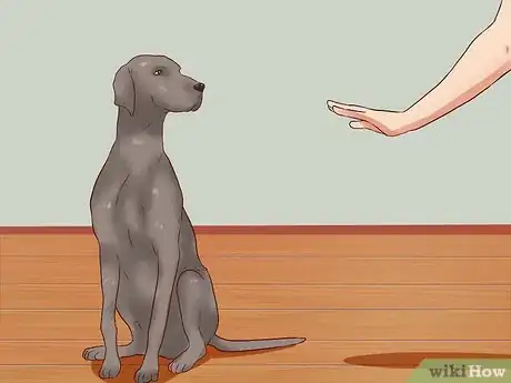 Image titled Teach Your Dog Basic Commands Step 5