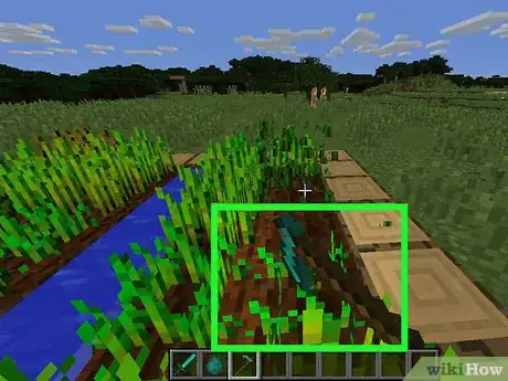 Image titled Get Carrots in Minecraft Step 3