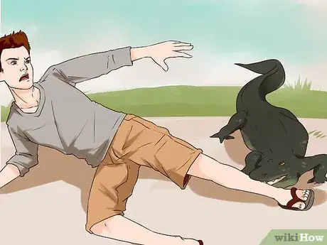 Image titled Avoid an Alligator Attack Step 17