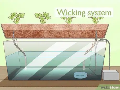 Image titled Grow Hydroponic Strawberries Step 1