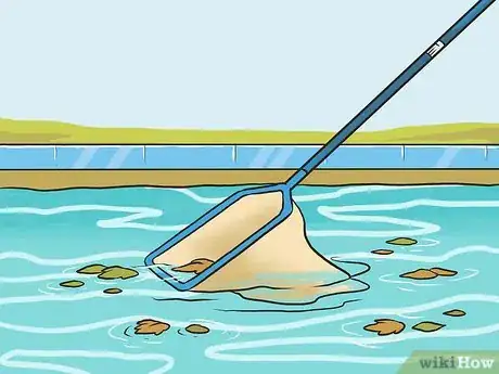 Image titled Clean Your Own Pool Step 2