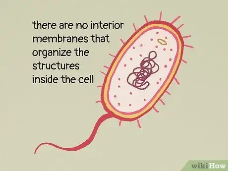 Image titled What Do All Cells Have in Common Step 5