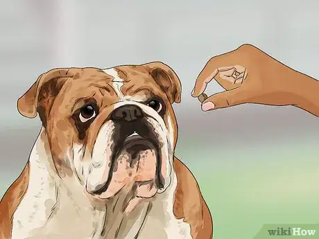 Image titled Teach Your Dog the Stop Barking Command Step 3