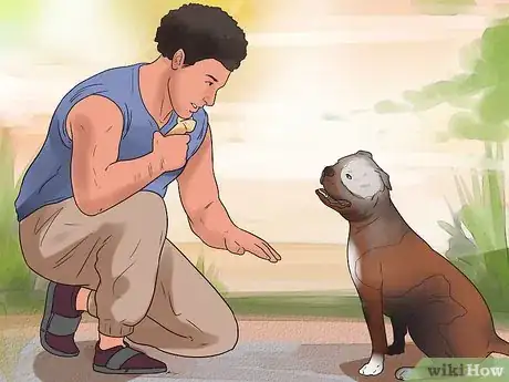 Image titled Raise an American Bulldog Step 15