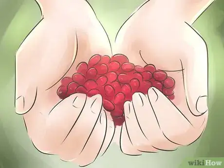 Image titled Grow Cranberries Step 11