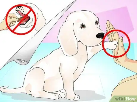 Image titled Teach Your Dog to Do a High Five Step 9