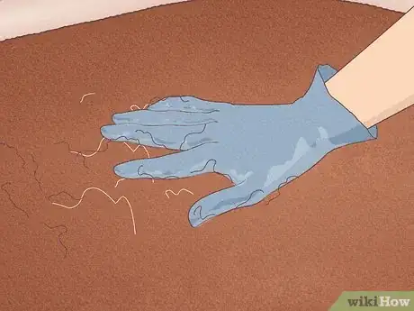 Image titled Remove Hair from a Carpet Without Vacuuming Step 3