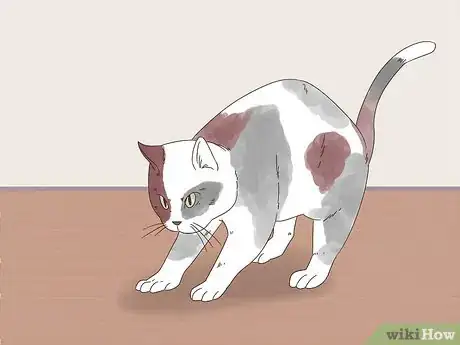 Image titled Know if Cats Are Playing or Fighting Step 5