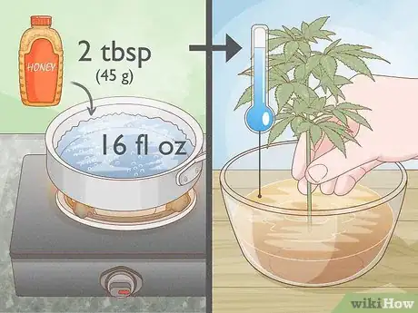 Image titled Clone a Marijuana Plant Without Rooting Hormone Step 5