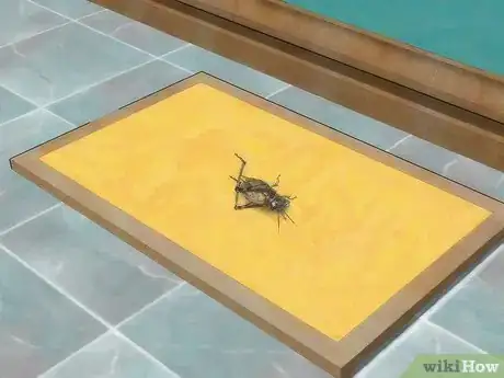 Image titled Get Rid of Crickets Step 2