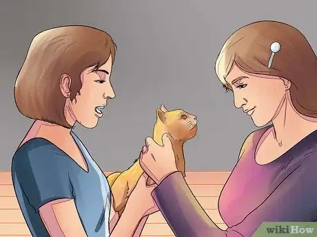 Image titled Prepare Your Cat for Surgery Step 12