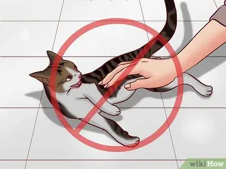 Image titled Speak Cat Step 11