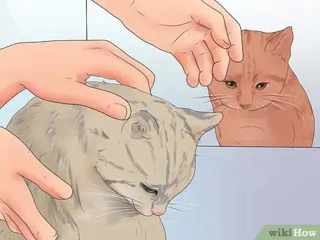 Image titled Stop Stress Induced over Grooming in Cats Step 9