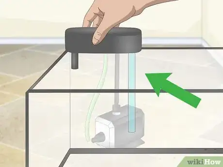 Image titled Set up a Guppy Tank Step 2