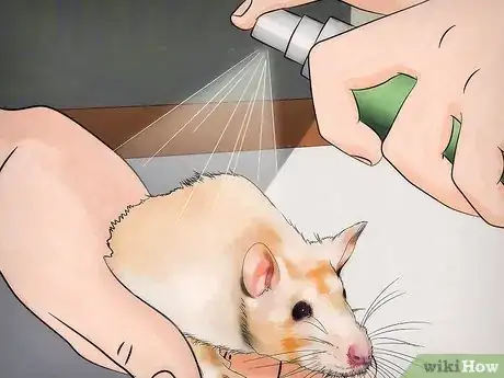 Image titled Get Rid of Fleas on Rats Step 7