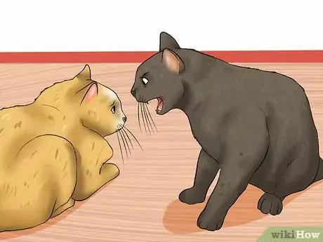 Image titled Break Up a Cat Fight Step 13