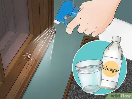 Image titled Get Rid of Spiders in the House Step 11