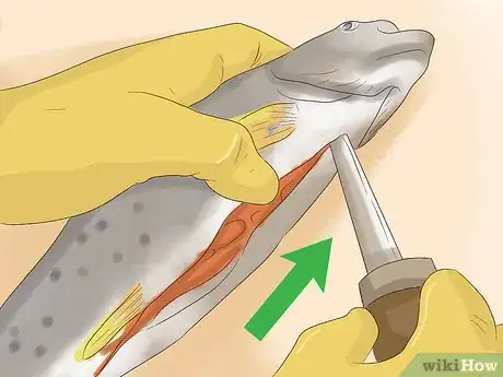 Image titled Clean Trout for Cooking Step 2