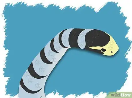 Image titled Identify a Venomous Snake Step 15