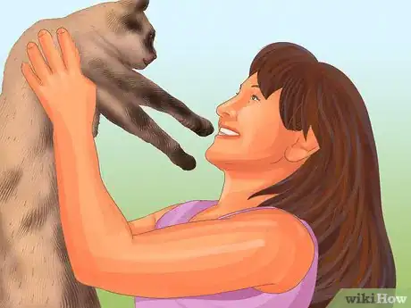 Image titled Care for a Siamese Cat Step 7