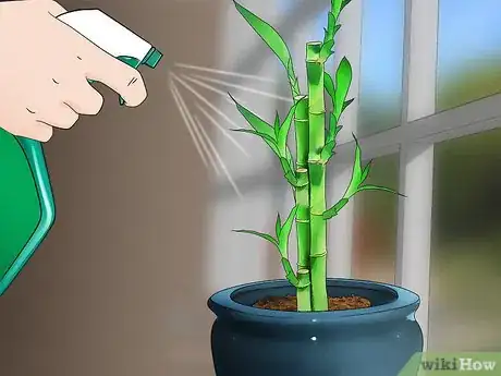 Image titled Care for an Indoor Bamboo Plant Step 14