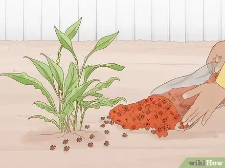 Image titled Keep Aphids Away Using Eco Friendly Methods Step 13