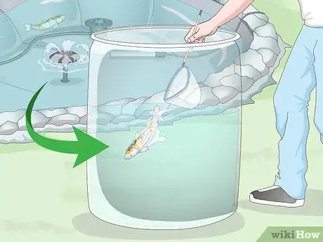 Image titled Raise Koi Step 12