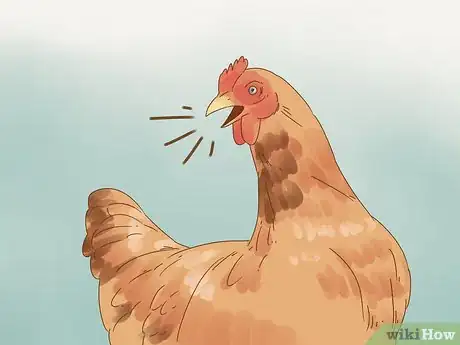 Image titled Tell if a Chicken is Sick Step 9