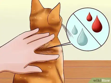 Image titled Give a Cat an Injection Step 10