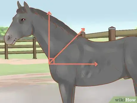 Image titled Judge a Horse Step 10