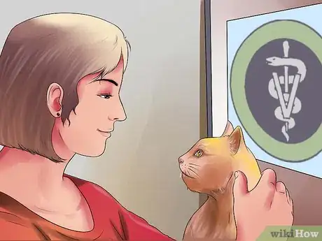 Image titled Prepare Your Cat for Surgery Step 16