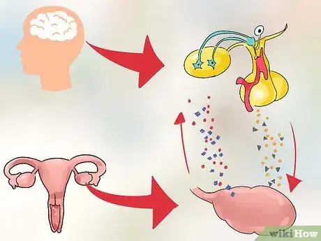 Image titled Determine First Day of Menstrual Cycle Step 11