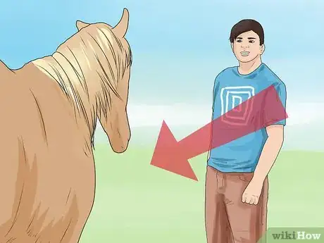 Image titled Approach Your Horse Step 4