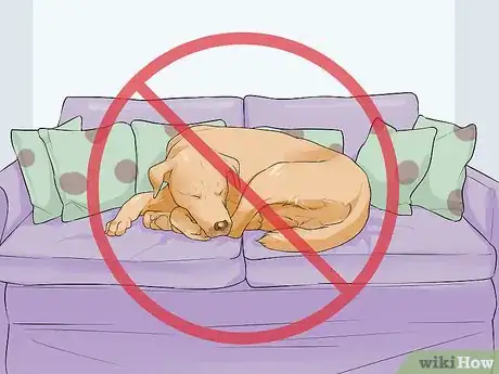 Image titled Handle Sleep Aggression in Senior Dogs Step 10