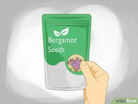 Image titled Grow Bergamot Step 1