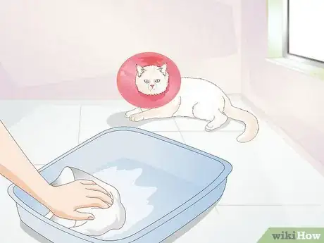 Image titled Avoid Germs when Cleaning a Litter Box Step 10