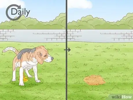 Image titled Stop Dog Pee from Killing Grass Step 2