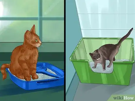 Image titled Choose a Litter Box for Your Cat Step 1