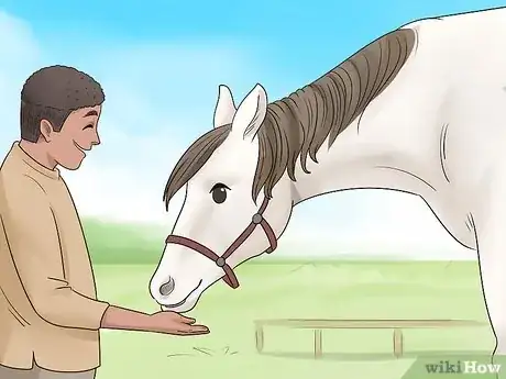 Image titled Ride a Horse for the First Time Step 16