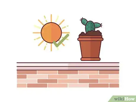 Image titled Grow Cactus Indoors Step 16