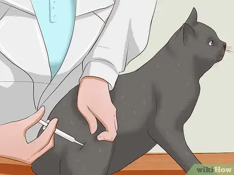 Image titled Give a Cat an Injection Step 14