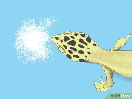 Image titled Care for a Wounded Leopard Gecko Step 9