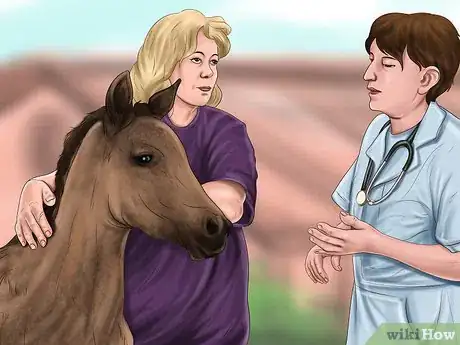 Image titled Tell the Gender of a Mare's Unborn Foal Step 2